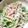 クックL0AAKV☆'s cooksnap of when they made 水菜と人参のツナサラダ.