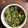 ちわわひめ's cooksnap of when they made 大根の葉とおじゃこ.
