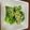 クックH86AFM☆'s cooksnap of when they made 菜花のカラシ和え.