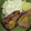 モグタソ's cooksnap of when they made 骨付きラムとゆずこしょう.