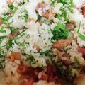 ちかﾁｬﾝ☆'s cooksnap of when they made 鶏としその混ぜご飯☆★.