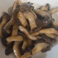 クックYNYWHO☆'s cooksnap of when they made ひらたけのバターしょうゆ炒め.