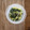 みるく茶's cooksnap of when they made 簡単❀白菜とほうれん草の胡麻和え.