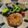 おぐにゃんこ's cooksnap of when they made れんこん皮ごとハンバーグ.