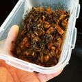 クックVECSLG☆'s cooksnap of when they made 【飯トモ】ラーメン屋の味！俺流辛子高菜.