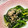 なーなちゃん's cooksnap of when they made ごま油が合う◎ほうれん草の塩昆布和え.