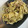 ぴろぱる☆'s cooksnap of when they made ＋エリンギと豚肉の黒胡麻パスタ＋.