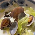 mantacarp's cooksnap of when they made あさりとキャベツのミルクスープ.
