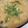 ブランシュkuu's cooksnap of when they made 簡単#鍋の残りでお味噌汁.