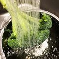 horseland's cooksnap of when they made 誰も教えない本当のブロッコリーの洗い方.