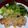 クックJOEさん's cooksnap of when they made ご飯が進む！ネギ塩まみれのチキンソテー.