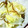 Milly♡'s cooksnap of when they made 白菜と塩昆布のバター和え.