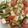 kikitk's cooksnap of when they made さっぱり夏野菜のお豆腐サラダ.