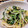 koara☺'s cooksnap of when they made 水菜ともやしと薄揚げの塩昆布和え.