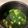 クックDRZBKV☆'s cooksnap of when they made ほうれん草とお豆腐のさっぱりスープ♪.