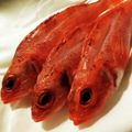 んーまっ's cooksnap of when they made 【カサゴ】捌いてみた.