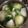 クックHDP0M2☆'s cooksnap of when they made 冷蔵庫の野菜＋冷凍ロ−ルキャベツでポトフ.
