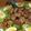クックRGHNT9☆'s cooksnap of when they made 豚ひきdeサイコロステーキ ＊節約＊.