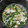 ＮＯＲＩ♫'s cooksnap of when they made 小松菜と薄あげのたいたん.