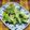 にきけん's cooksnap of when they made ひなまつりに・菜の花の天ぷら.