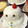 risukoto's cooksnap of when they made いきなり いちごムース♥.