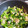 ♡よしの♡'s cooksnap of when they made 小松菜と豚バラの中華炒め.