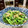 Superlittleboo's cooksnap of when they made 小松菜と油揚げの煮浸し.