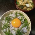 さとるぅ。's cooksnap of when they made ごま油が香る☆釜揚げしらす丼.