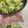 しゅい6's cooksnap of when they made 白菜の冷凍保存の方法.