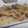 fu♪♪'s cooksnap of when they made ☆簡単☆白菜とツナのバター醤油炒め.
