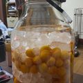 yayogon's cooksnap of when they made 自家製手作り金柑酒.