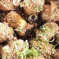 navicochan's cooksnap of when they made お餅の肉巻き.