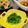 cra's cooksnap of when they made レンジで簡単！さっぱり豆苗のゴマポン和え.