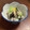 四児のハハ's cooksnap of when they made 塩きのこと柚子のみぞれあえ.
