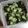 もりのりころ's cooksnap of when they made きゅうりとわかめの酢の物　.