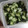 もりのりころ's cooksnap of when they made きゅうりとわかめの酢の物　.