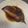 ピーナッツ子♪'s cooksnap of when they made ナメタガレイの煮付け.