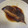 ピーナッツ子♪'s cooksnap of when they made ナメタガレイの煮付け.