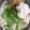 くむちん's cooksnap of when they made ＊温まる 我が家の豚しゃぶ鍋＊.
