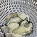 ひこ0304's cooksnap of when they made 加熱用牡蠣の美しい洗い方 やくぜんたく.