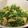 ペンギンinNY's cooksnap of when they made 電子レンジで簡単☆大根葉の煮びたし♪.