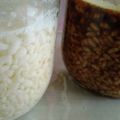 307号室's cooksnap of when they made とにかく万能！自家製塩麹、醤油麹の作り方.