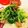 aromatico's cooksnap of when they made 豆苗とベーコンのレンチン１分♫♬.