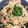 ポムポムポヨコ's cooksnap of when they made レンジでチン♪ニラともやしのナムル.