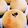 クック5CLUS8☆'s cooksnap of when they made フランス あんパン.