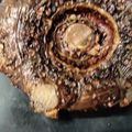 an0v0ko's cooksnap of when they made 意外と簡単！手作りできる◆生芋コンニャク.