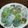 みれいちご's cooksnap of when they made 焼豚入り特製生春巻き.
