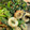 maaa。's cooksnap of when they made 【 ちくわとほうれん草のごまあえ 〗.