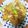 さらさんレシピ's cooksnap of when they made 厚揚げとひき肉のキムチ炒め.