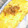 やえまりも's cooksnap of when they made 簡単！数の子の卵焼き.
